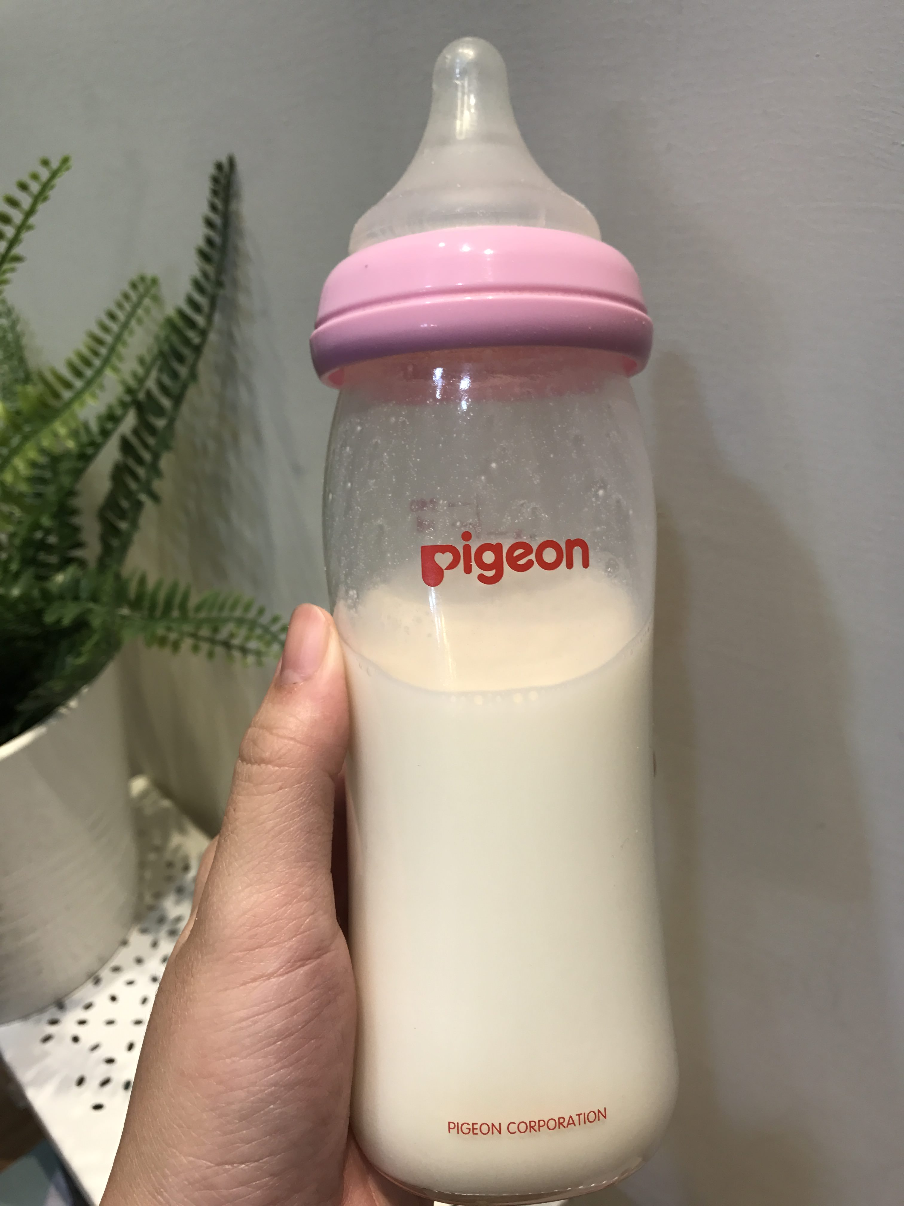 添加比菲多菌與檸檬酸，原裝原罐來自法國的金愛斯佳幼兒成長牛奶粉