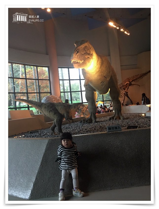 爸媽必辦台中科博館恐龍卡，暢遊全台9大博物館年省超過1000元門票