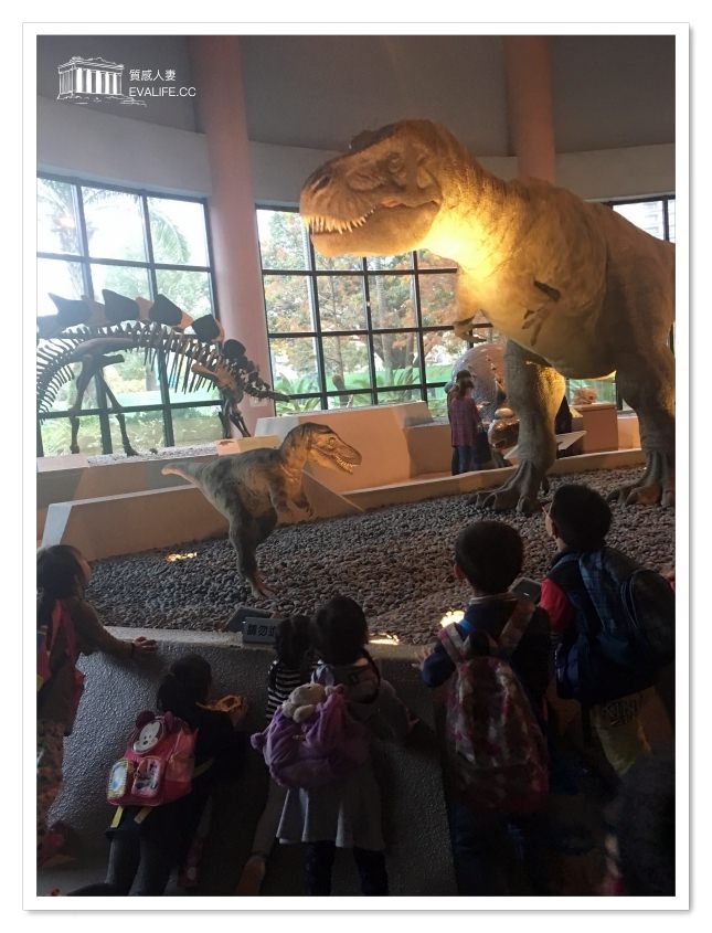 爸媽必辦台中科博館恐龍卡，暢遊全台9大博物館年省超過1000元門票