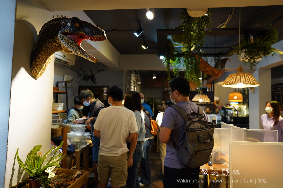 【動物主題餐廳】微迷野林咖啡廳提供生態導覽，適合親子近距離接觸變色龍、蛇、刺蝟、紅毛蜘蛛。