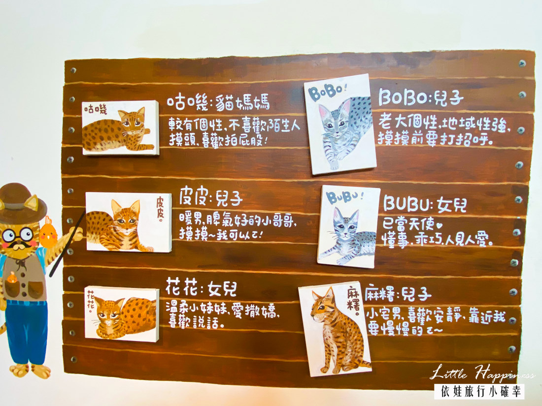 【五股觀音山景觀咖啡】BoBo Cafe 豹豹咖啡森林館，超可愛豹貓在店裡等你來，推薦超可愛的豹紋拿鐵/鮮奶茶。(內有菜單)