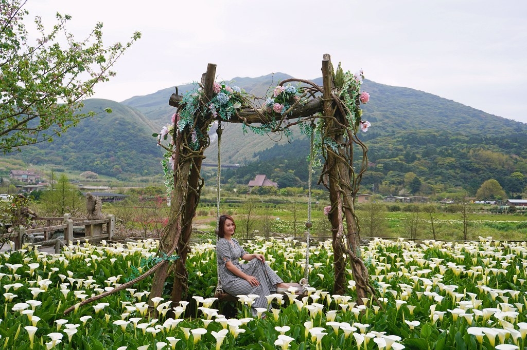 【2022年陽明山海芋季】推薦名陽匍休閒農莊有浪漫造景，記得跟小木屋與鞦韆合影，拍出白色系打卡網美照