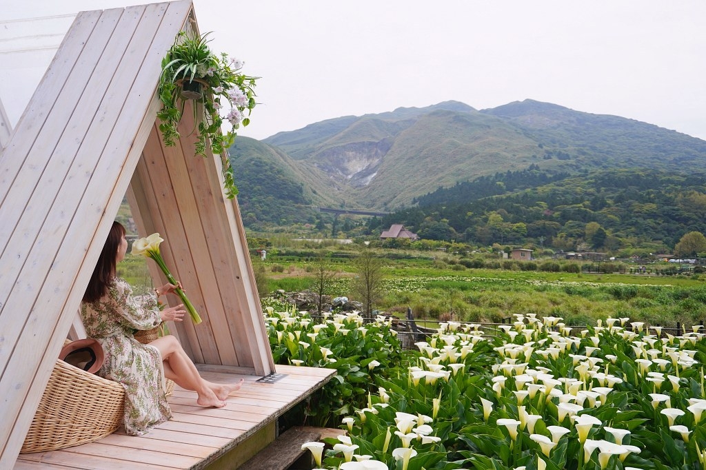 【2022年陽明山海芋季】推薦名陽匍休閒農莊有浪漫造景，記得跟小木屋與鞦韆合影，拍出白色系打卡網美照