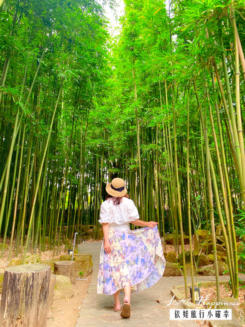 【陽明山打卡咖啡廳】一秒到京都！豆留森林在竹林秘境裡的昭和老宅，老房子復古情懷超文青！(附菜單價位)