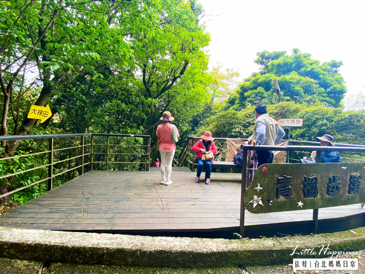 陽明山竹子湖青楓步道，夏天避暑秋冬賞楓的免費景點，順遊賞海芋、繡球花、吃山菜。