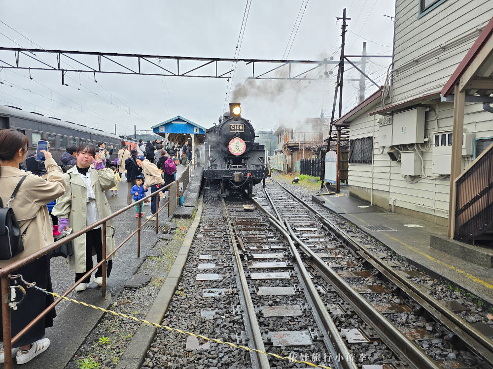 大井川鐵道百年觀光列車，靜岡櫻花季絕美景點，鐵道迷最愛復古SL蒸汽火車、湯瑪士小火車、ABT齒軌列車，順遊靜岡景點