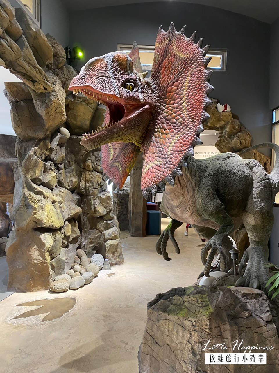 小門地質探索館，澎湖室內景點看會動的恐龍，順遊鯨魚洞公園吃小管麵線