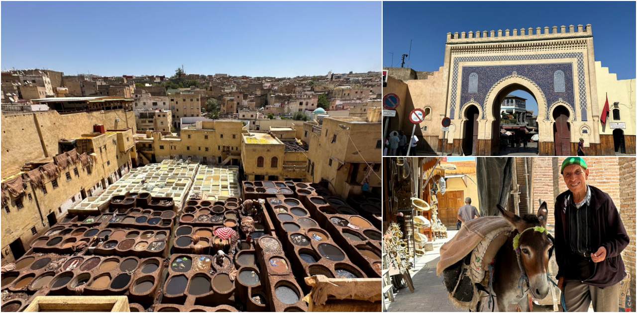 摩洛哥非斯Fez必去景點一日遊行程，千年古城、500年皮革工坊、最臭城市的世界遺產，連google定位都會迷失的神祕老城區 @依娃旅行小確幸