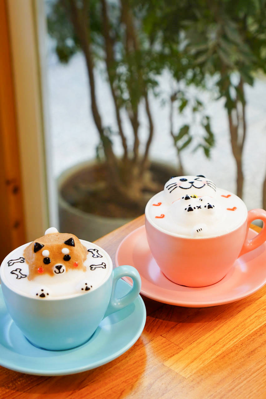 桃園龍潭約會餐廳，野薑花與貓庭園咖啡，不只以花入料理，還有IG打卡立體拉花咖啡，更有可愛貓咪