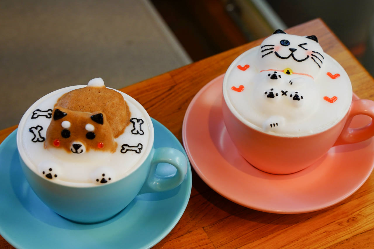 桃園龍潭約會餐廳，野薑花與貓庭園咖啡，不只以花入料理，還有IG打卡立體拉花咖啡，更有可愛貓咪
