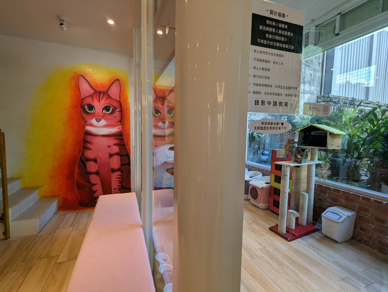 桃園龍潭約會餐廳，野薑花與貓庭園餐廳，不只以花入料理，還有IG打卡立體拉花咖啡，更有可愛貓咪