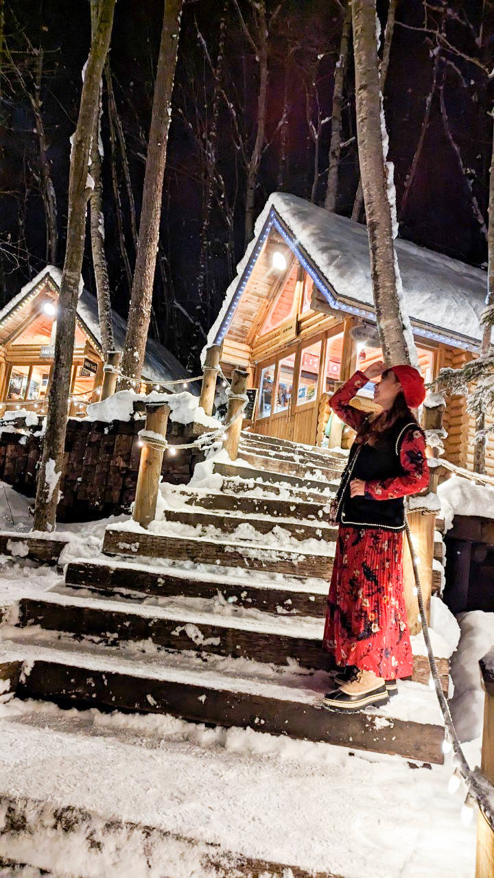 森林精靈露台，北海道新富良野冬天的免費景點，好夢幻的雪地中的聖誕村，糖霜薑餅屋好浪漫