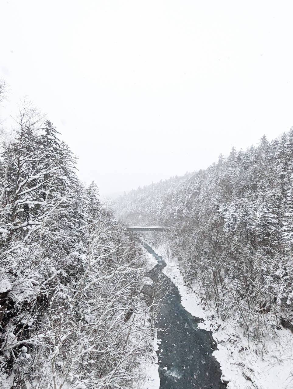 白鬚瀑布，北海道三大名瀑布之一，美瑛限定冬天景點欣賞冰柱霧淞，還可以泡白金溫泉